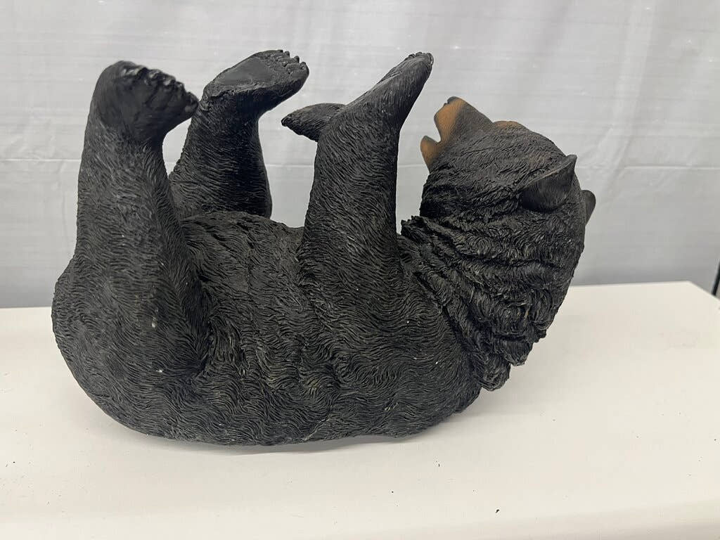 Bear laying on back