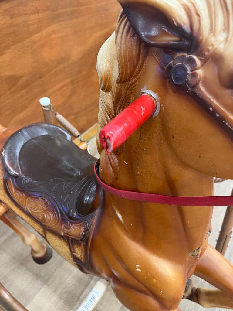 Wonder Horse