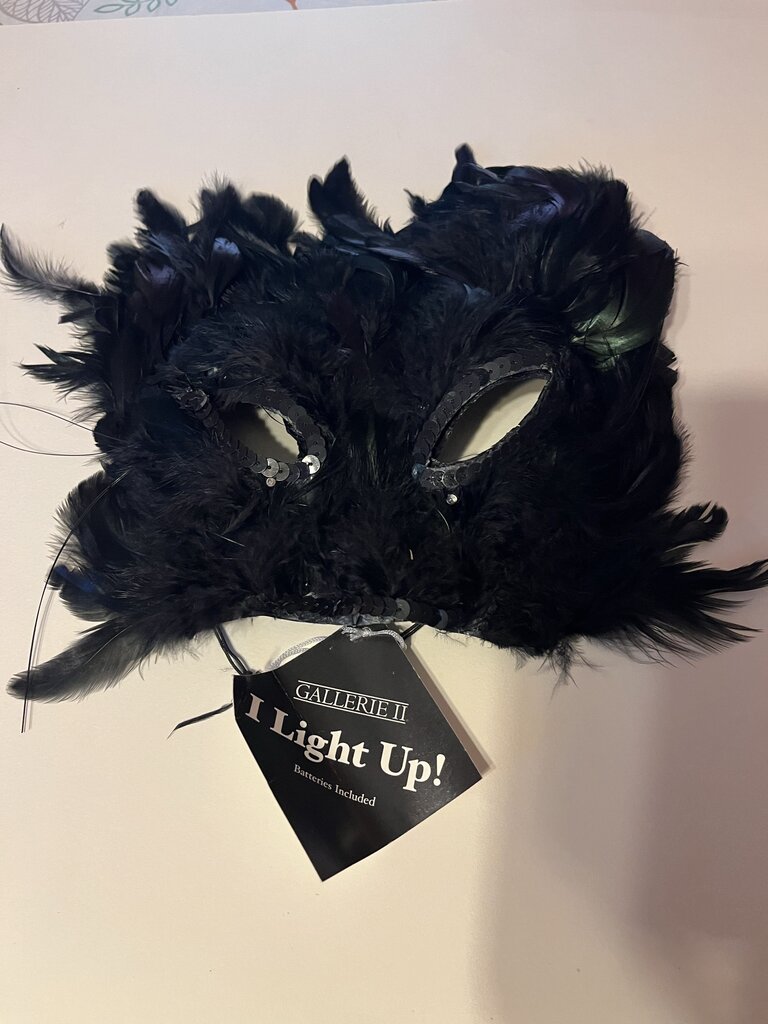 Gallerie II Light-Up Black Feather Mask