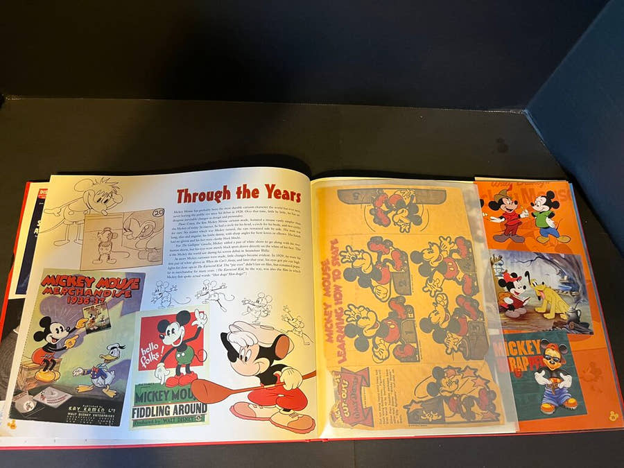 The Mickey Mouse Treasures