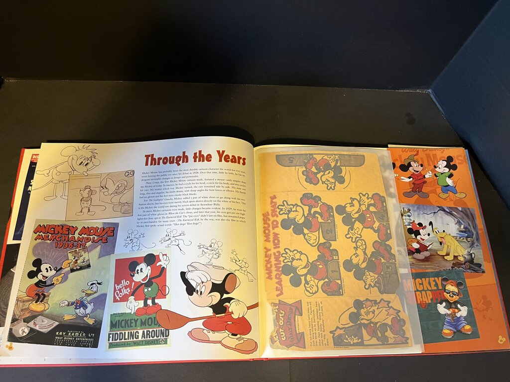 The Mickey Mouse Treasures