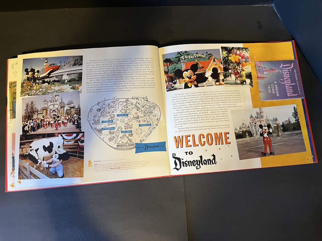The Mickey Mouse Treasures