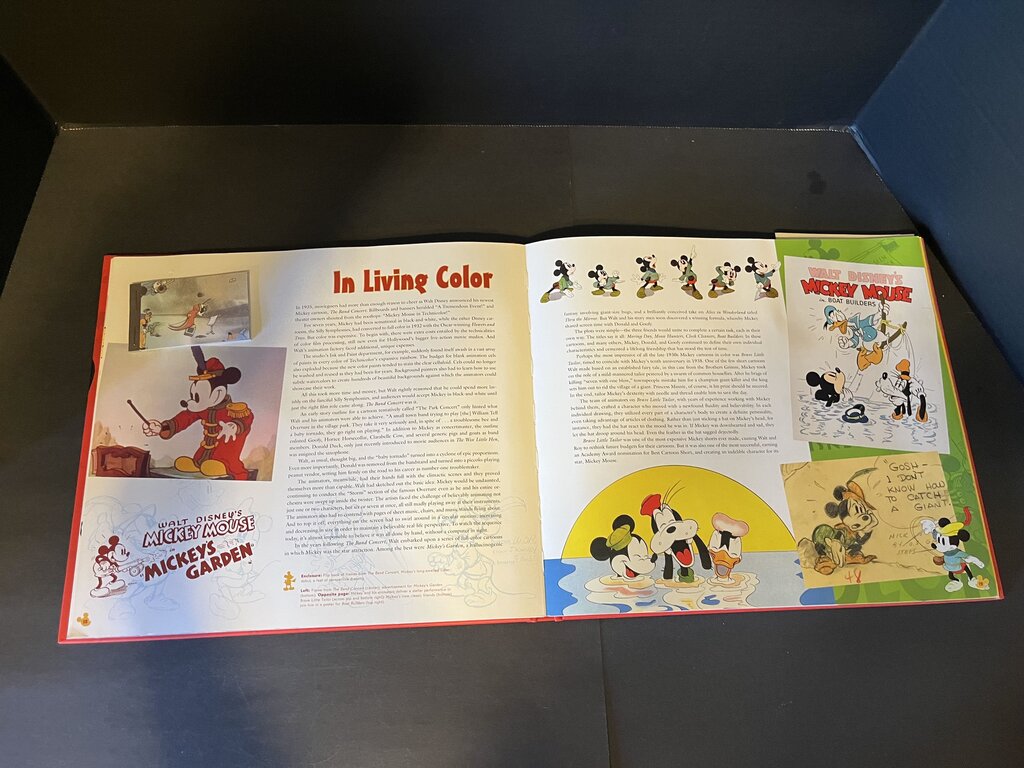 The Mickey Mouse Treasures