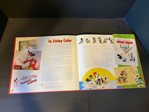 The Mickey Mouse Treasures