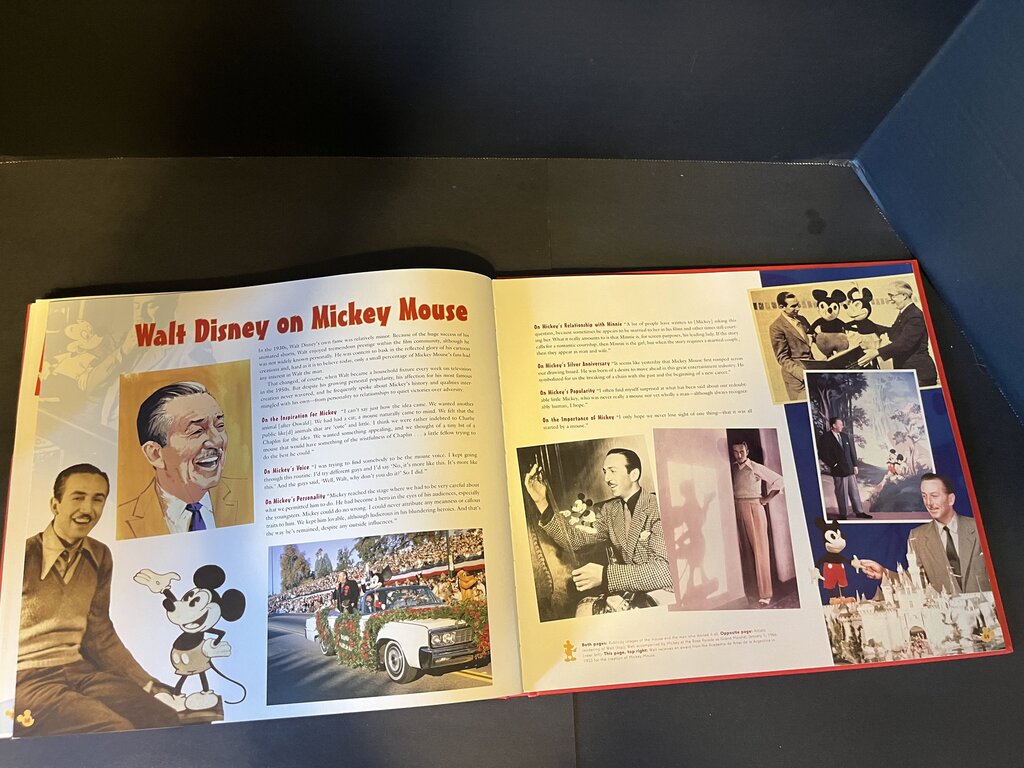 The Mickey Mouse Treasures
