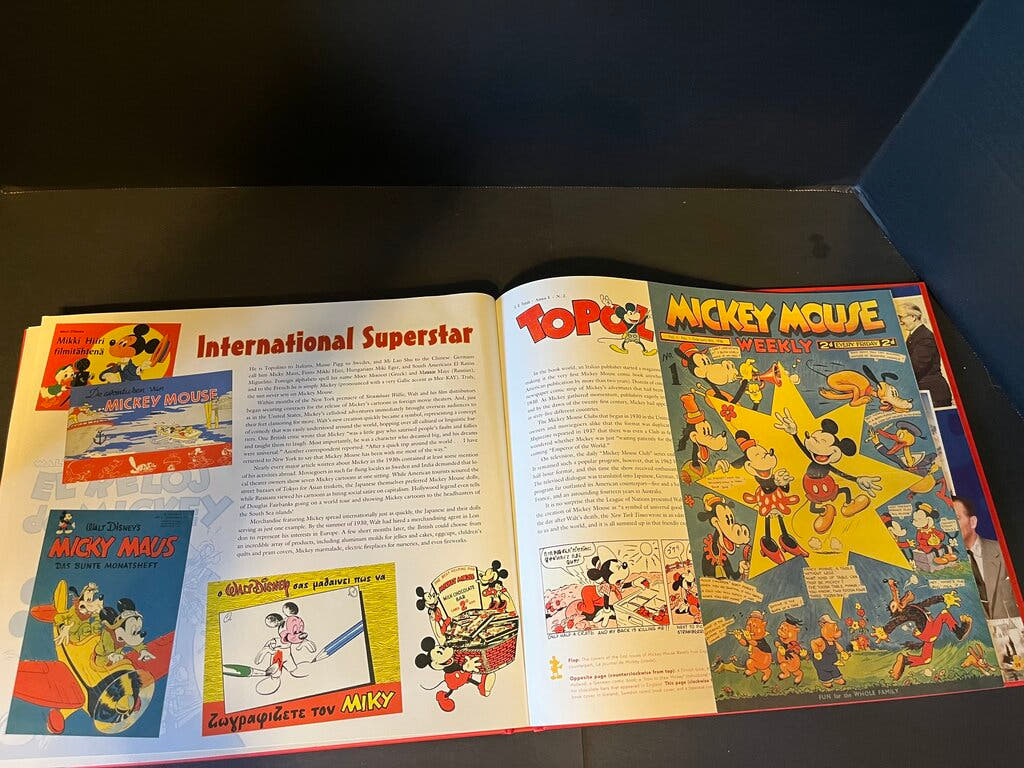The Mickey Mouse Treasures