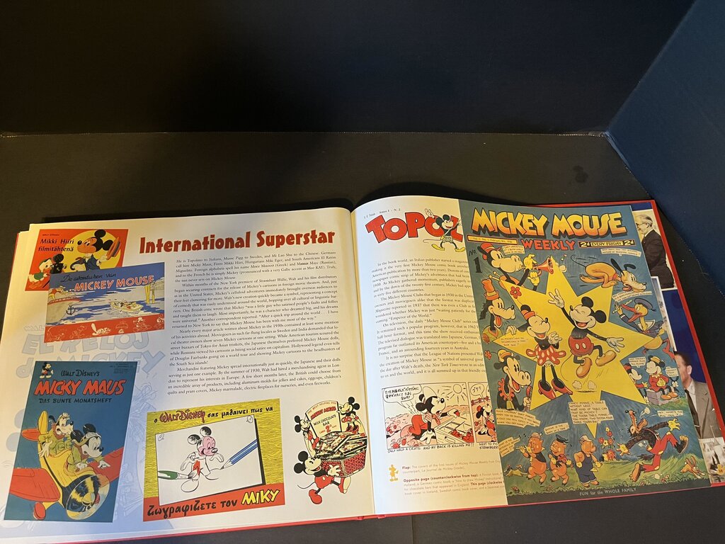 The Mickey Mouse Treasures