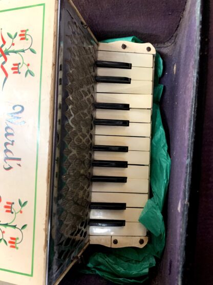 Hohner Accordian - Image 2